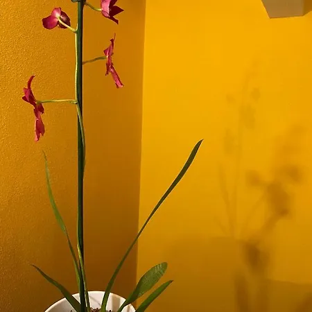 La Casa Di Andrea